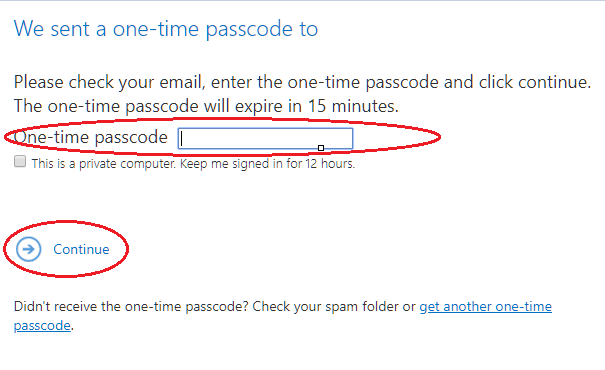 Receiving a one-time password over email